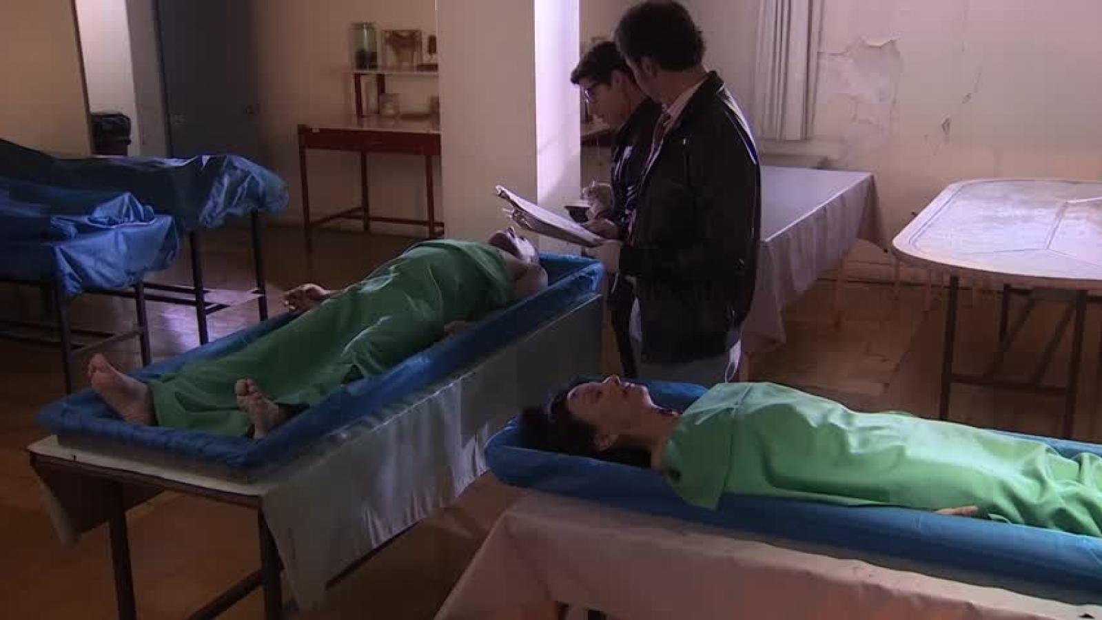 Secretos en el jardín