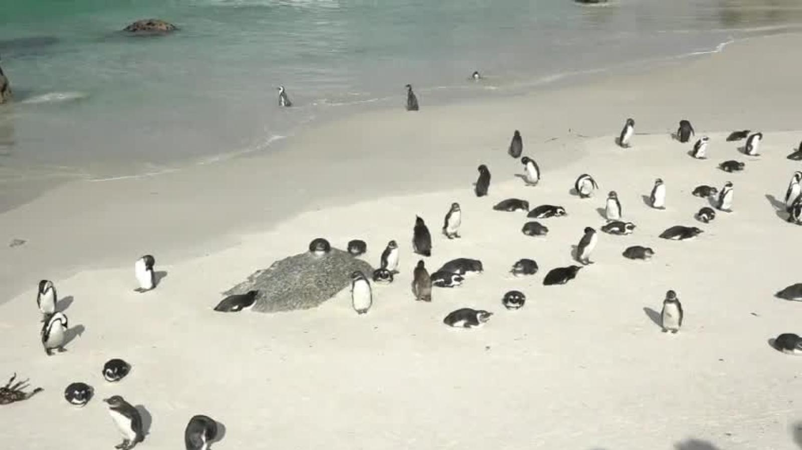 Maravillas del Mundo