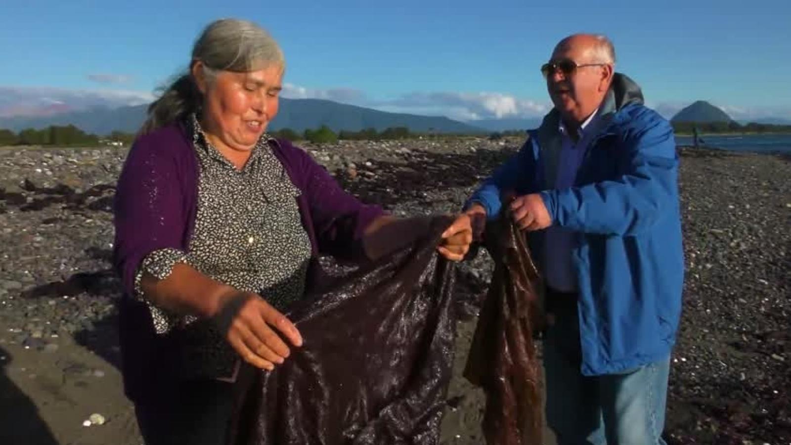 Crónicas de la Patagonia