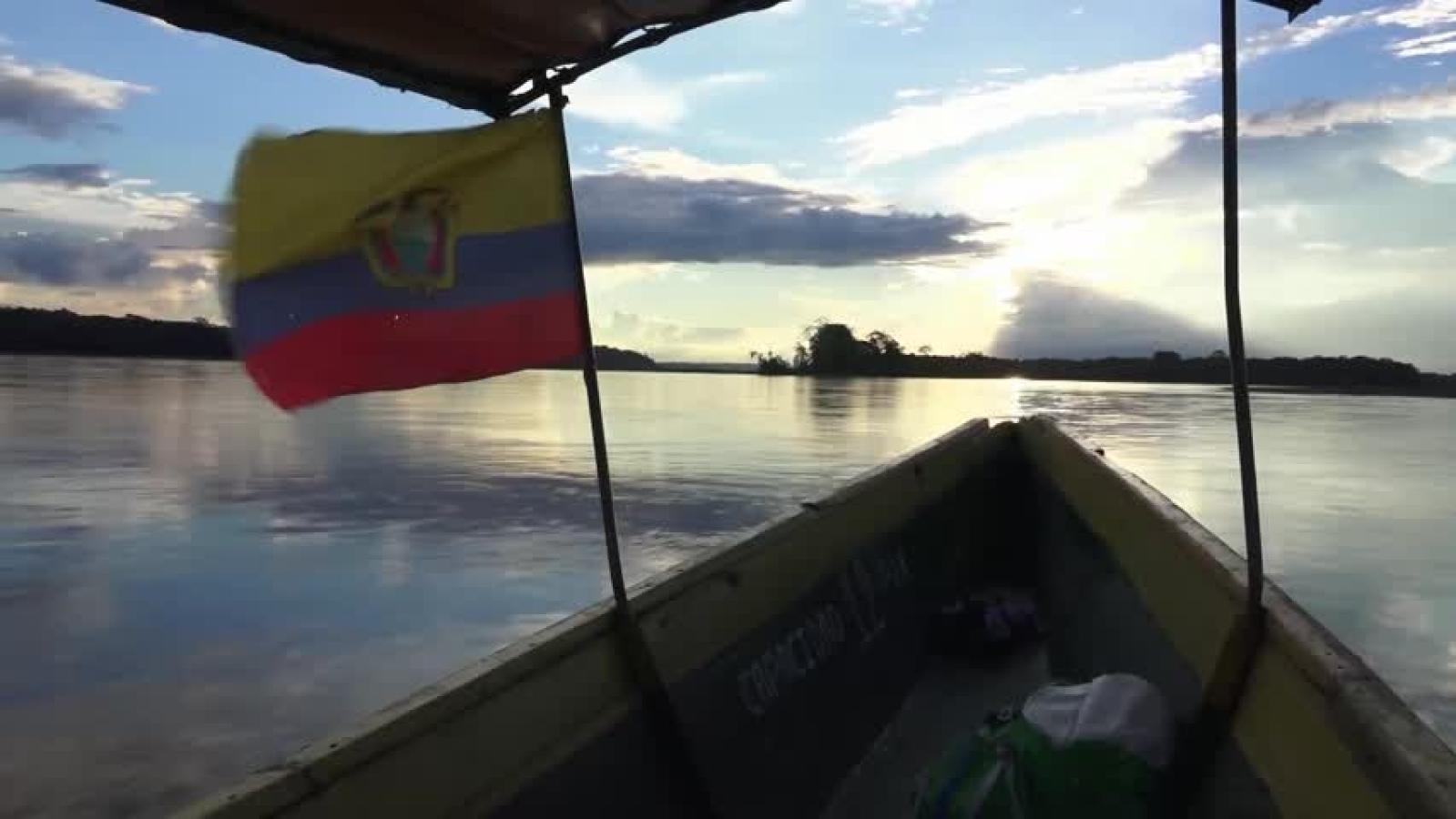 Yasuni