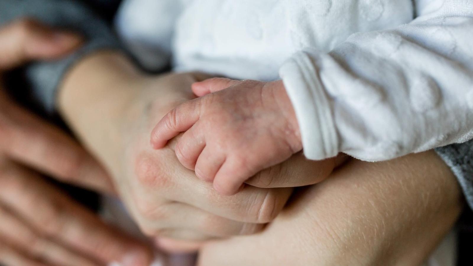 Revisa los detalles de la nueva Ley de Adopción - Pixabay