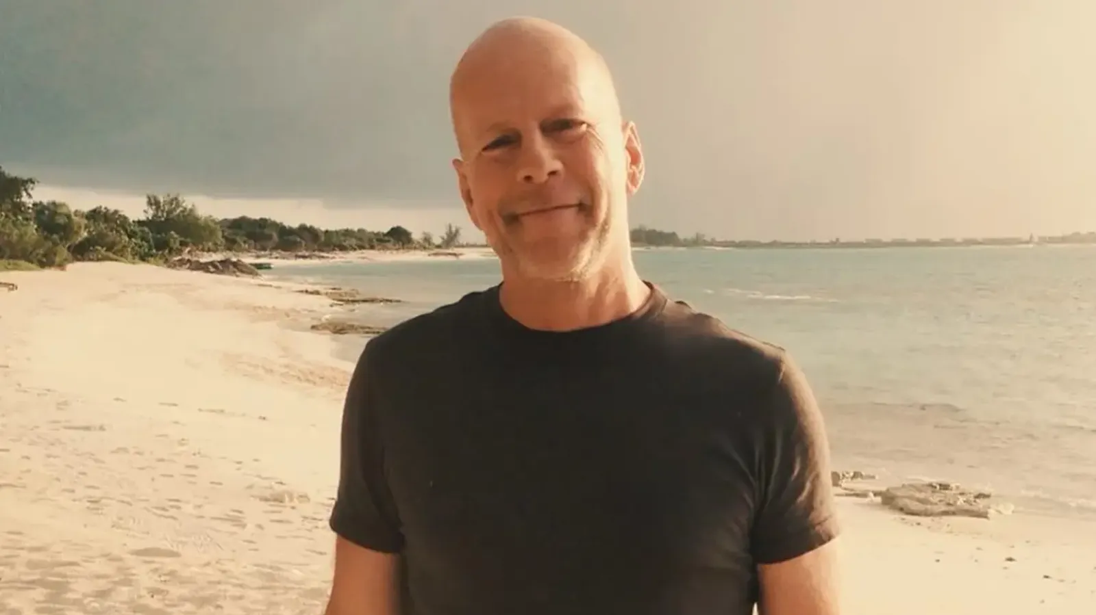 Bruce Willis - Archivo Web