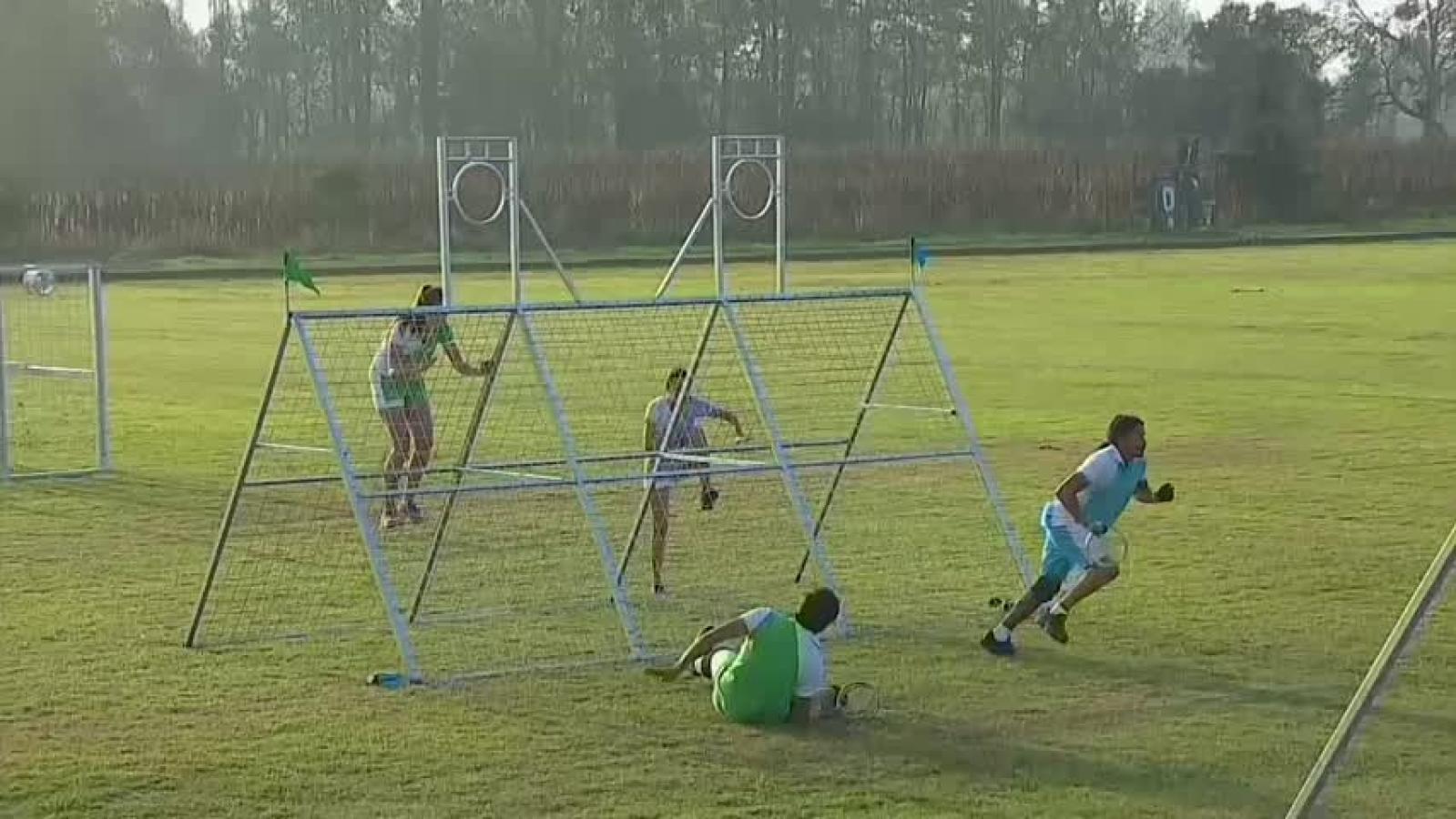 Generaciones Cruzadas