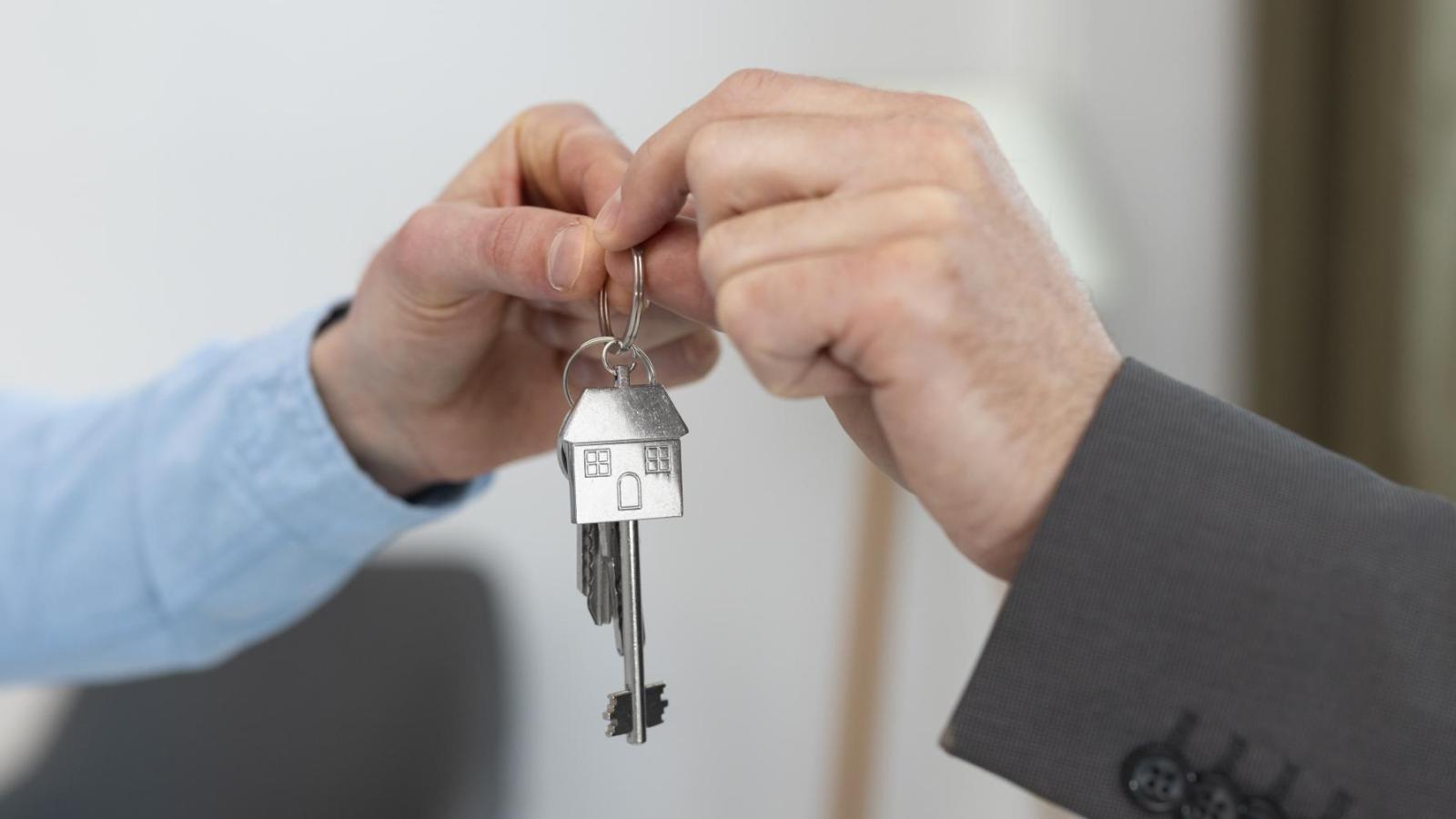 Subsidio DS1 - Freepik