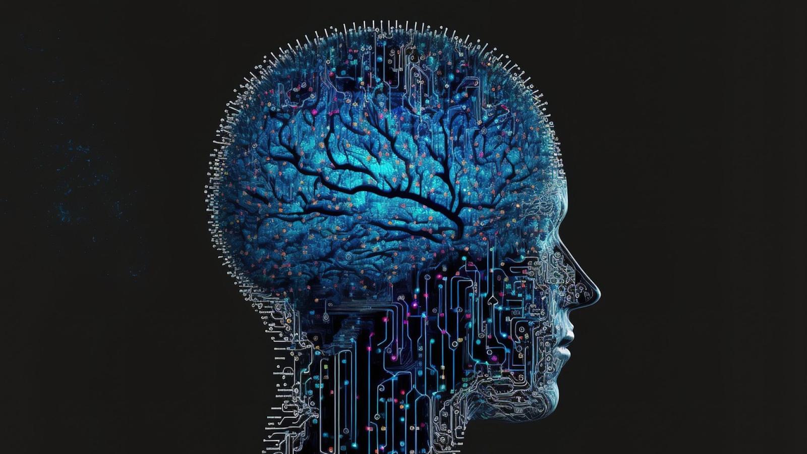 Cerebro/Pixabay