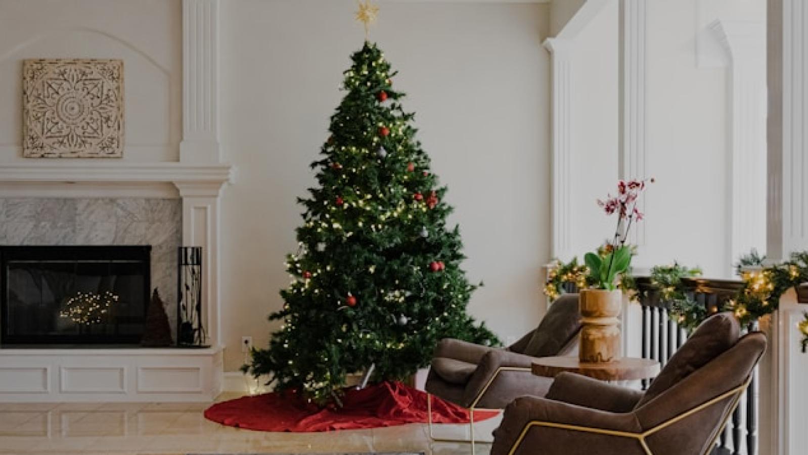 Árbol de Navidad - Cedida