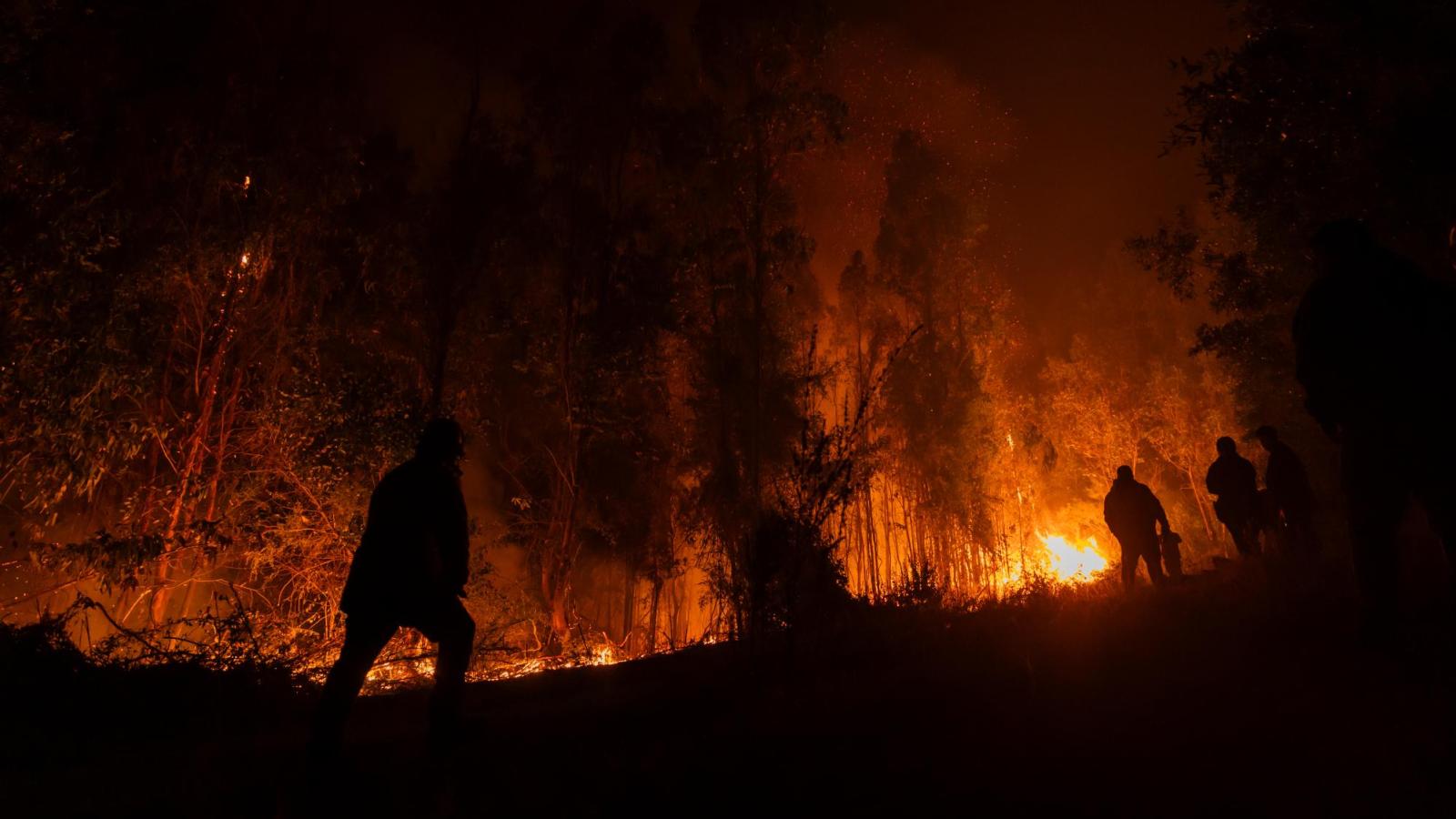 Incendios Forestales - Aton