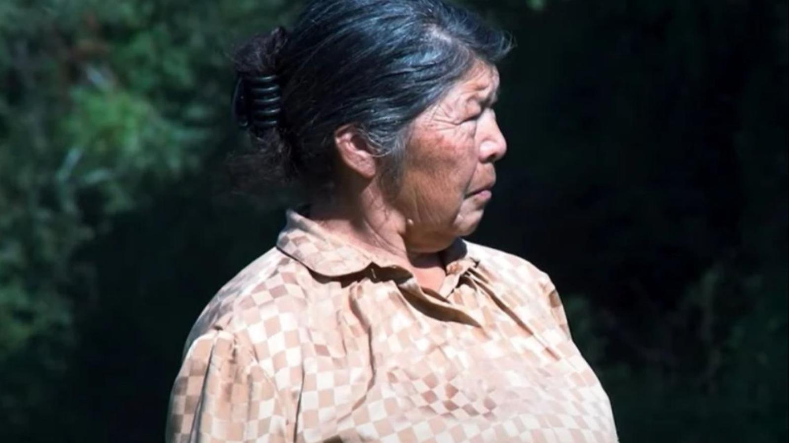 Julia Chuñil
