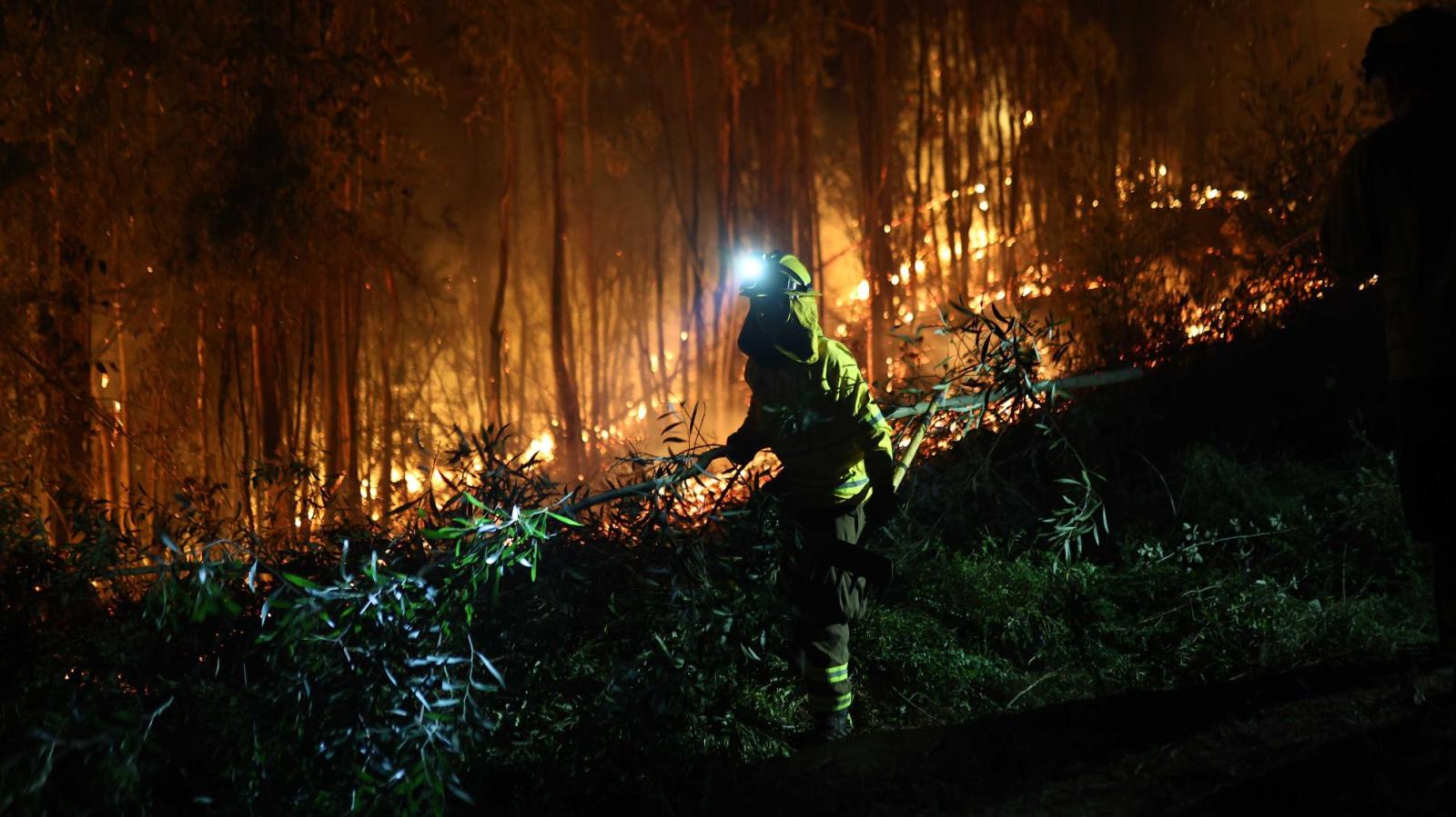 Mapa de incendios EN VIVO: revisa las alertas activas, albergues y centros de acopio