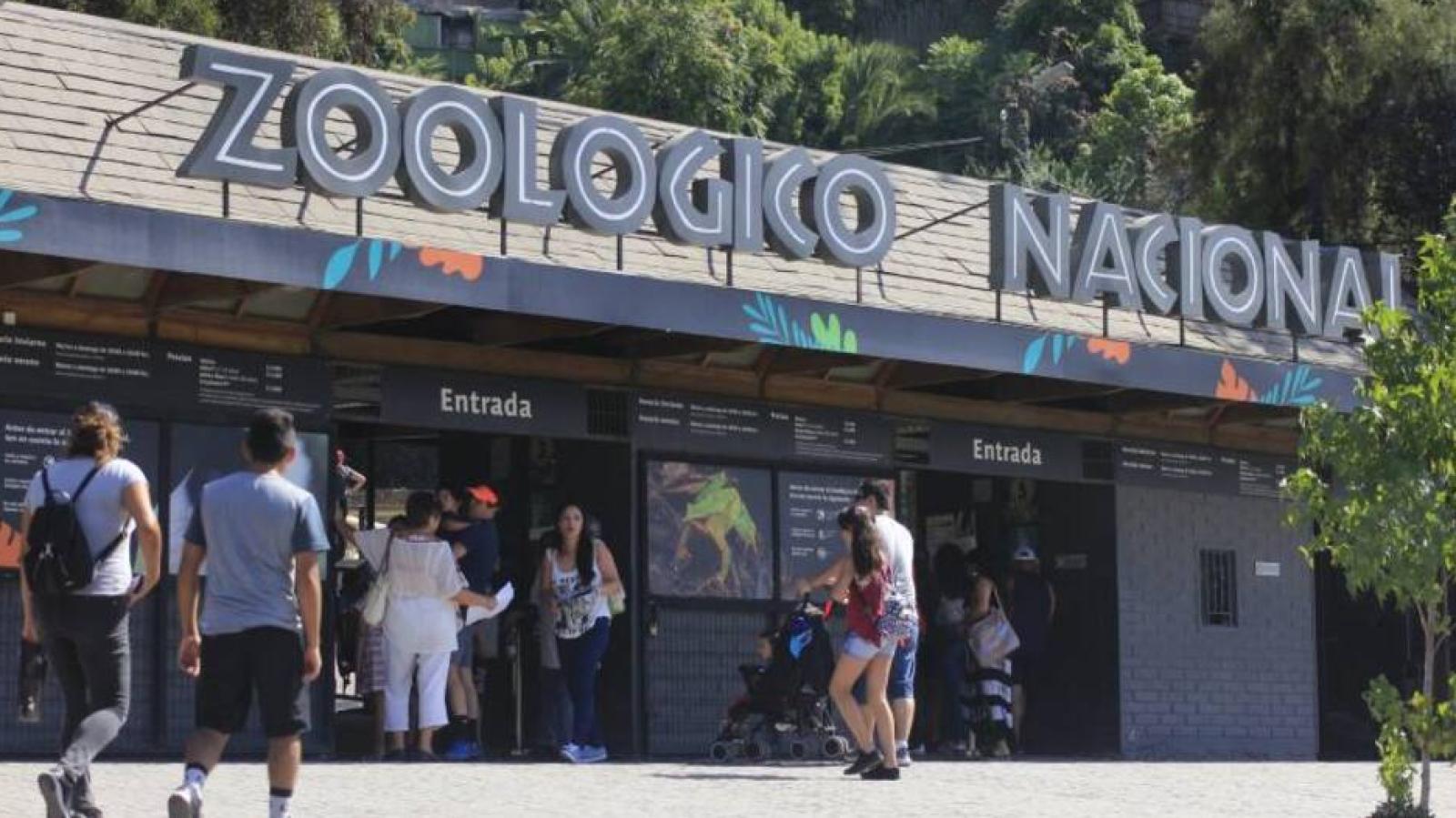 Así puedes conseguir entradas GRATIS al Zoológico Metropolitano