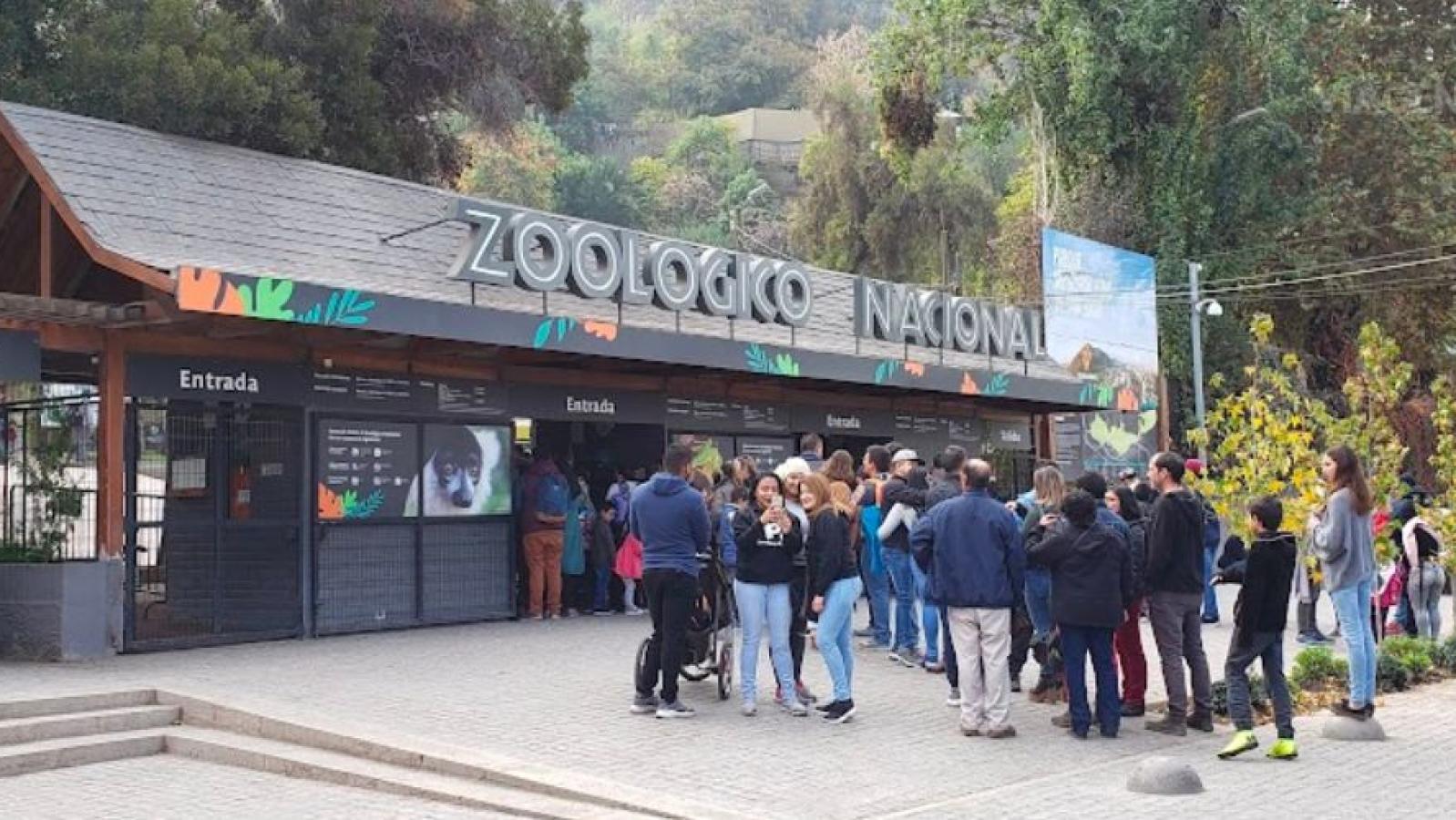 Zoológico Nacional reabre sus puertas con entrada gratuita por su centenario - Agencia Uno