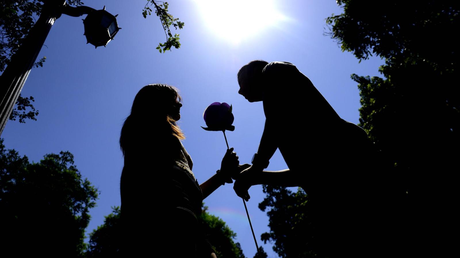 Revisa qué día de la semana cae el 14 de febrero y qué se conmemora
