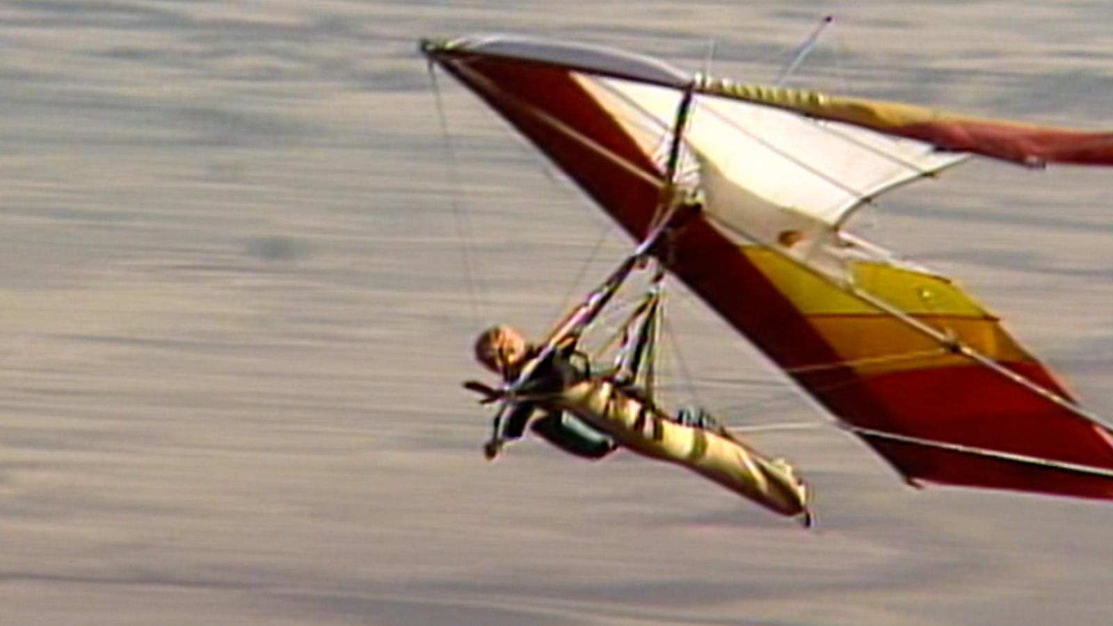 El Mundo del Profesor Rossa