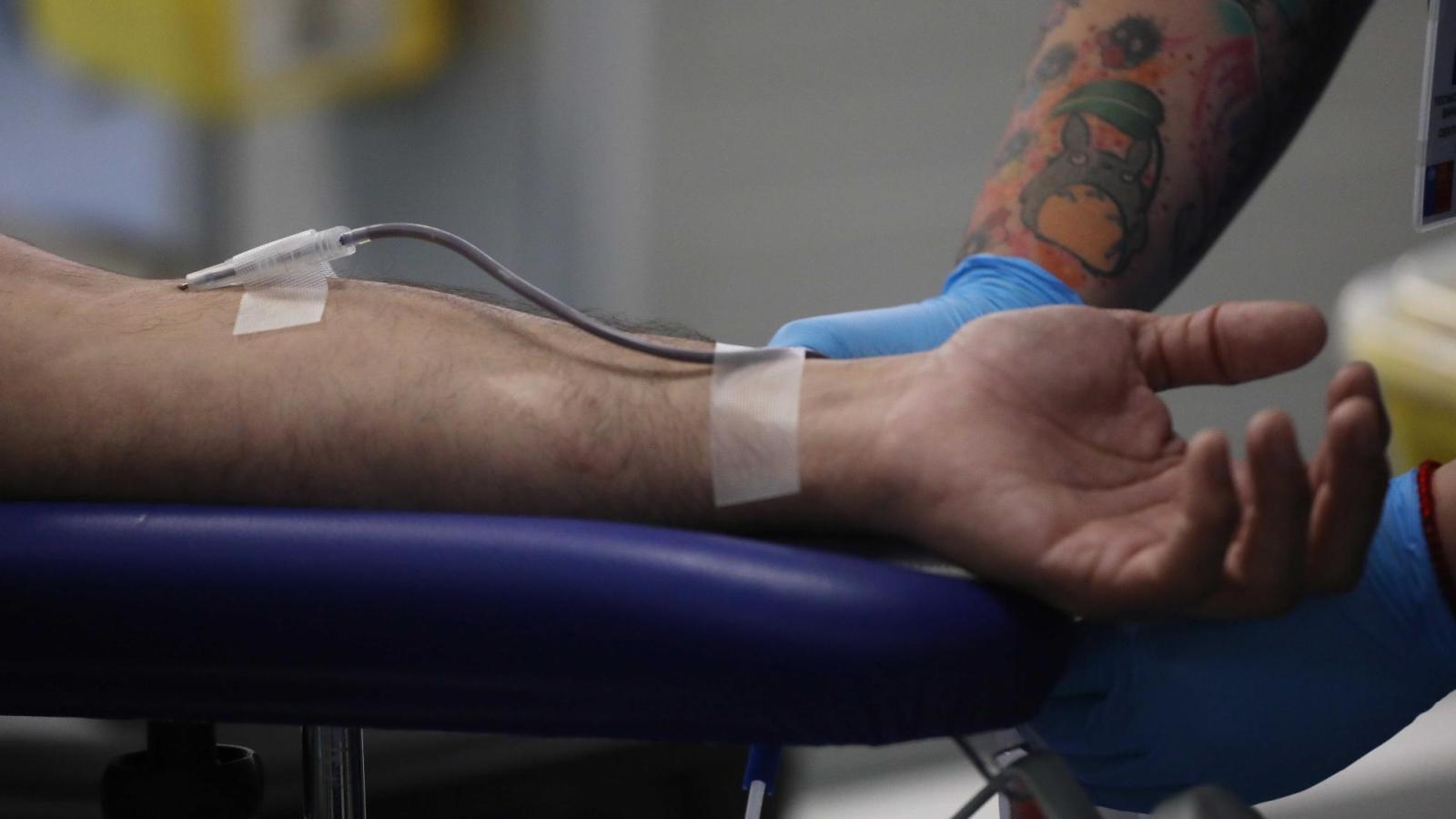 Estos son los requisitos para donar sangre en Chile