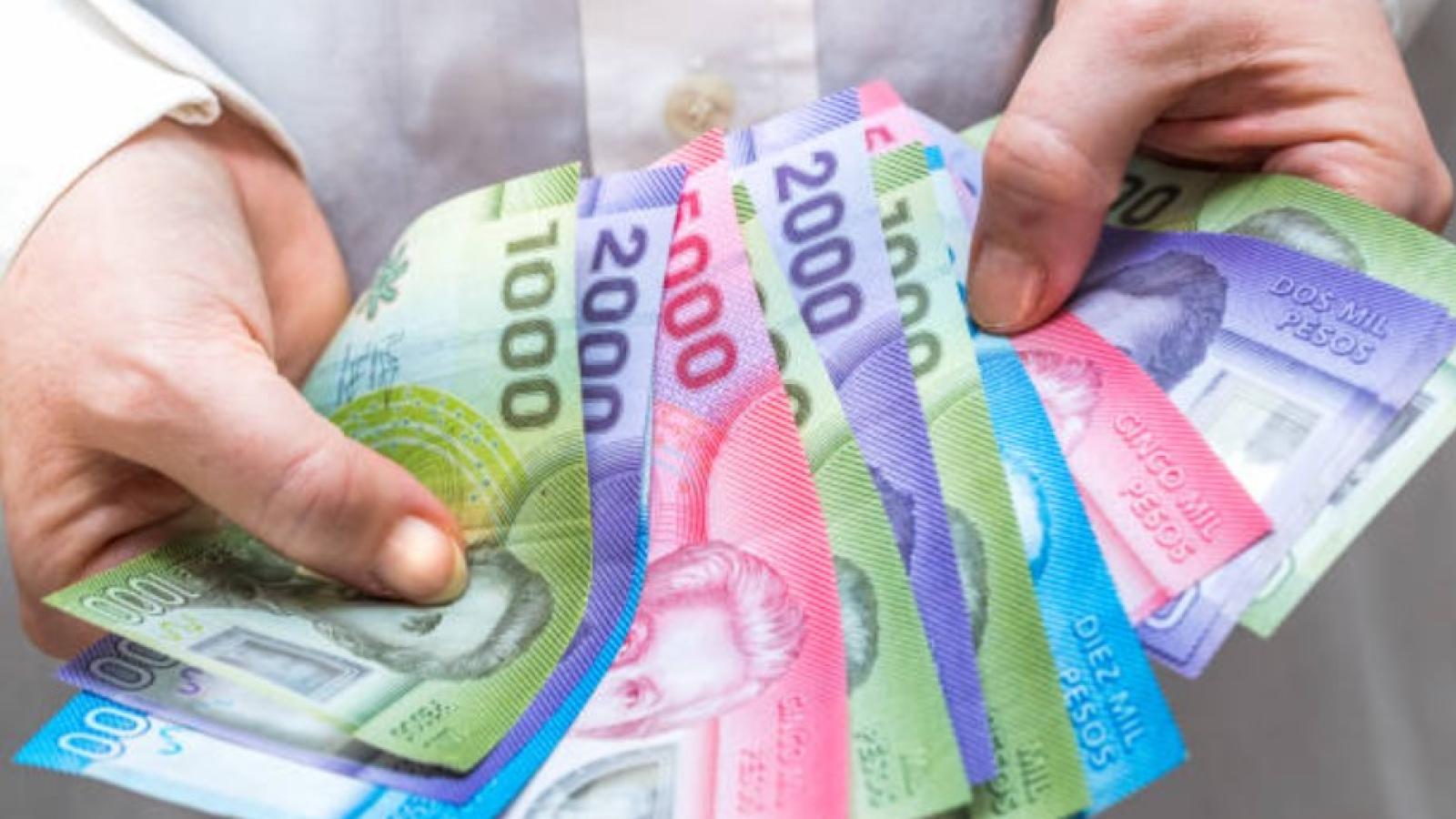 Todos los bonos, beneficios y postulaciones de febrero de 2026