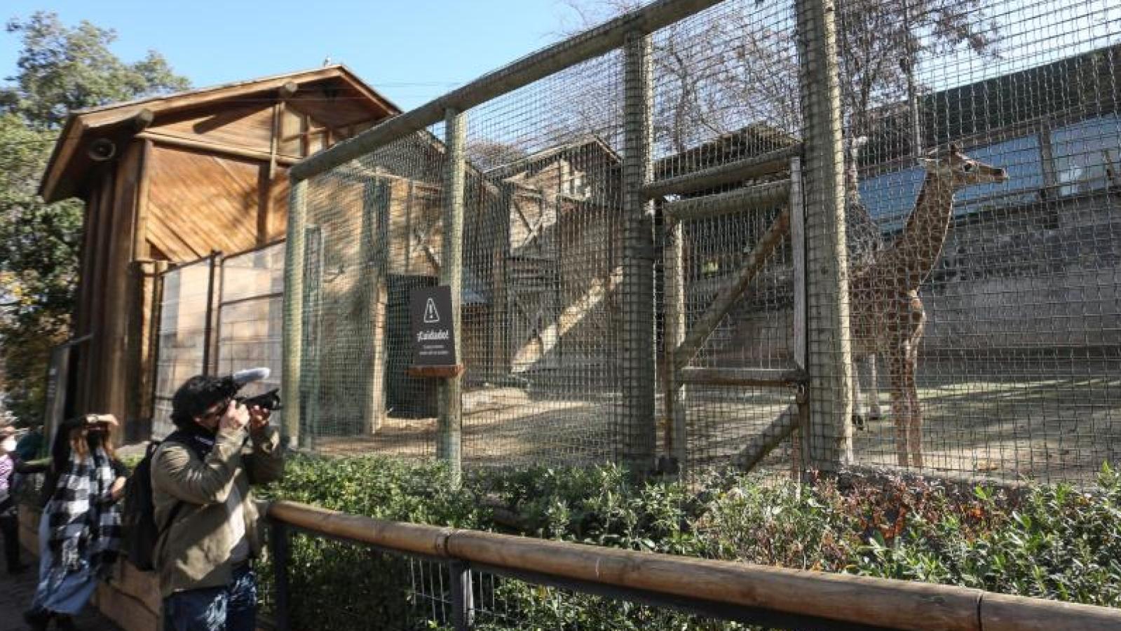 Zoológico Nacional - Agencia Uno