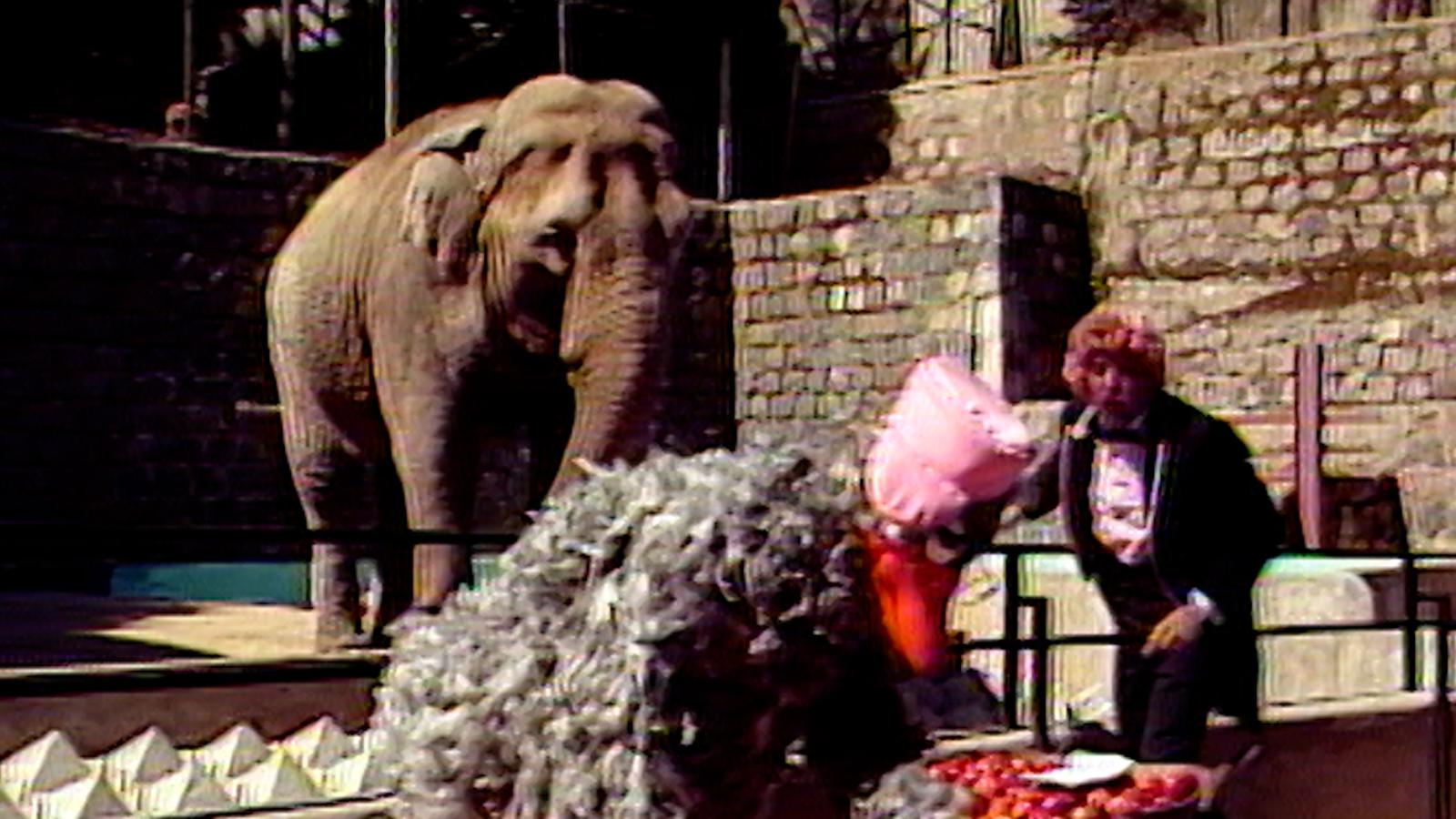 El Mundo del Profesor Rossa