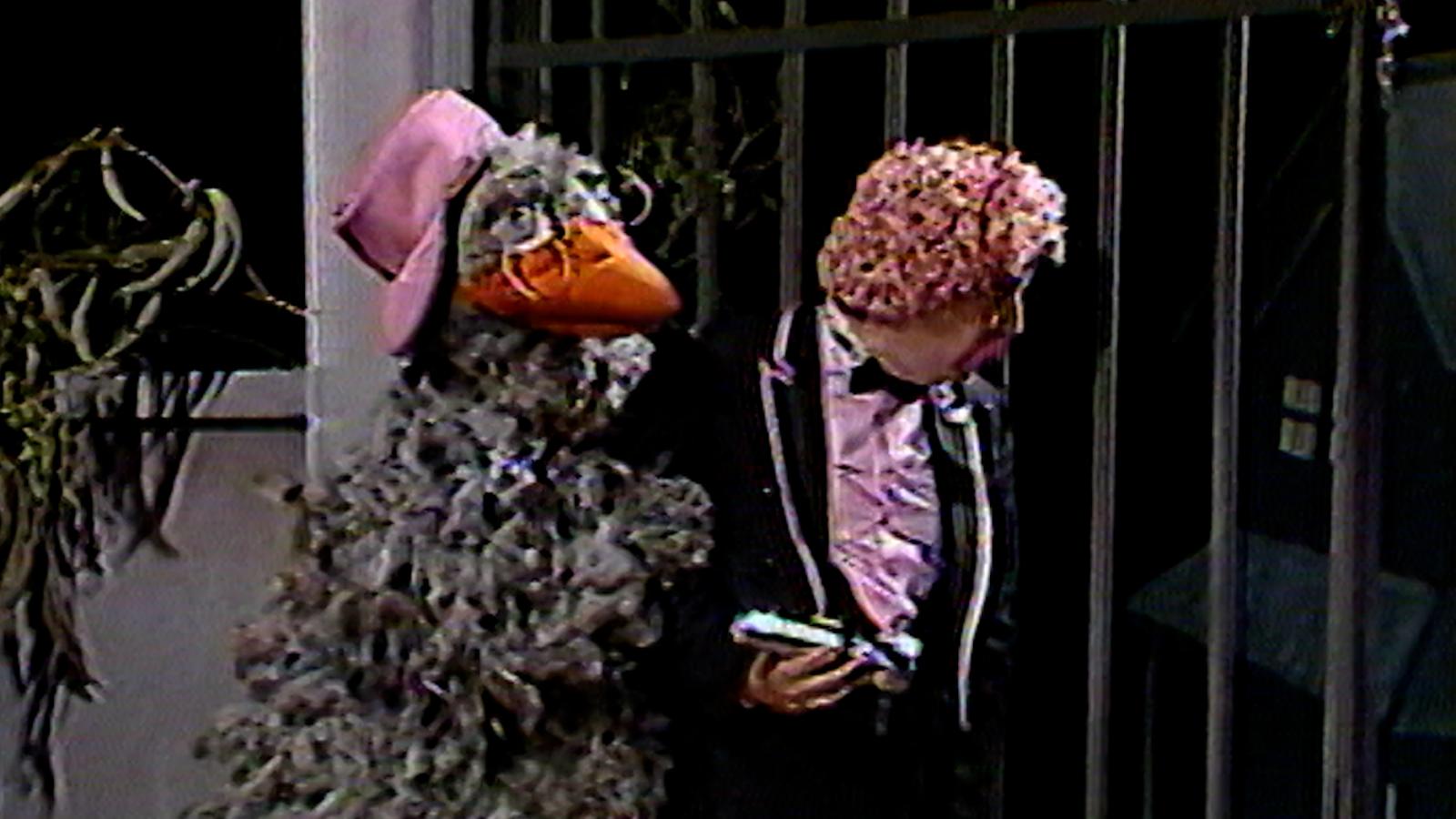 El Mundo del Profesor Rossa