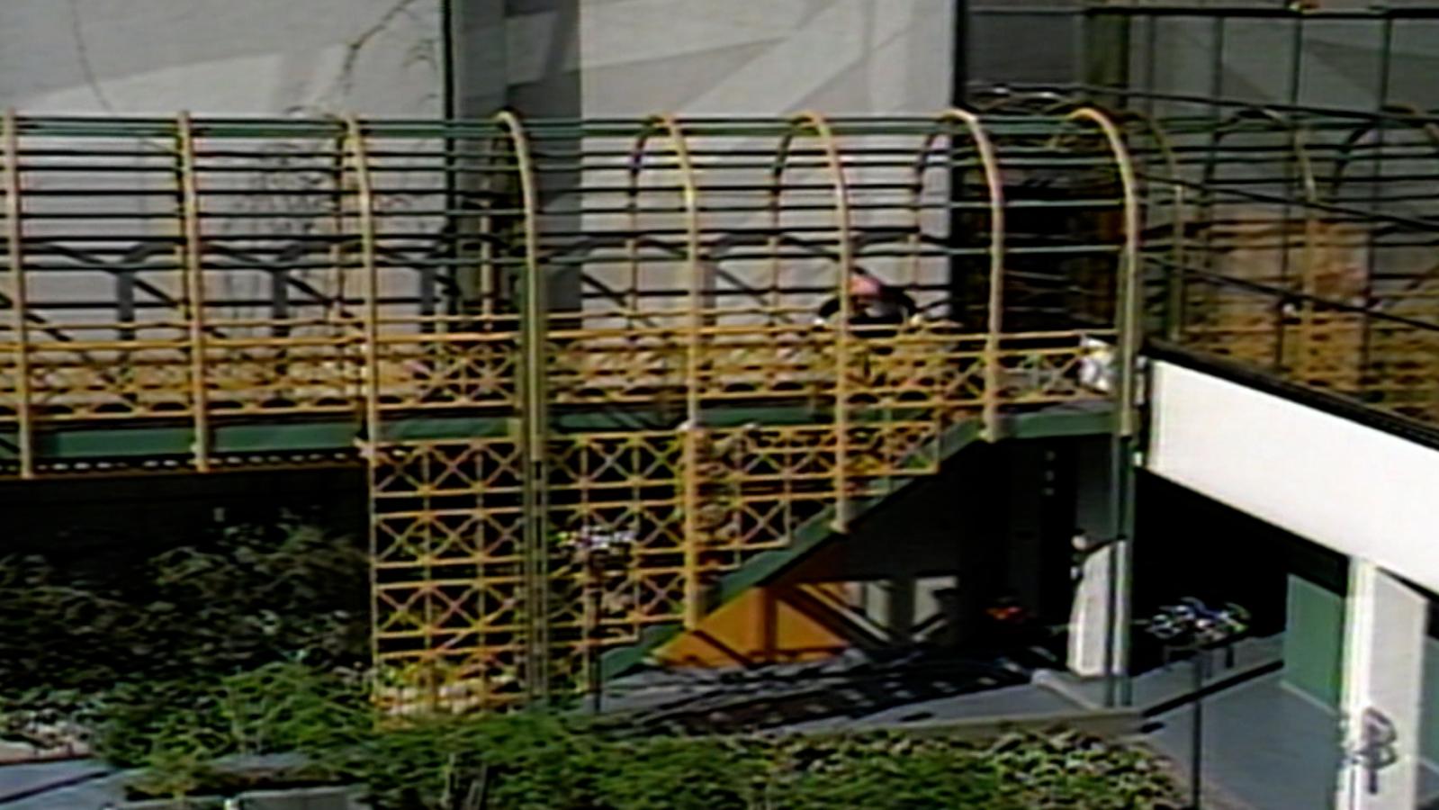 El Mundo del Profesor Rossa