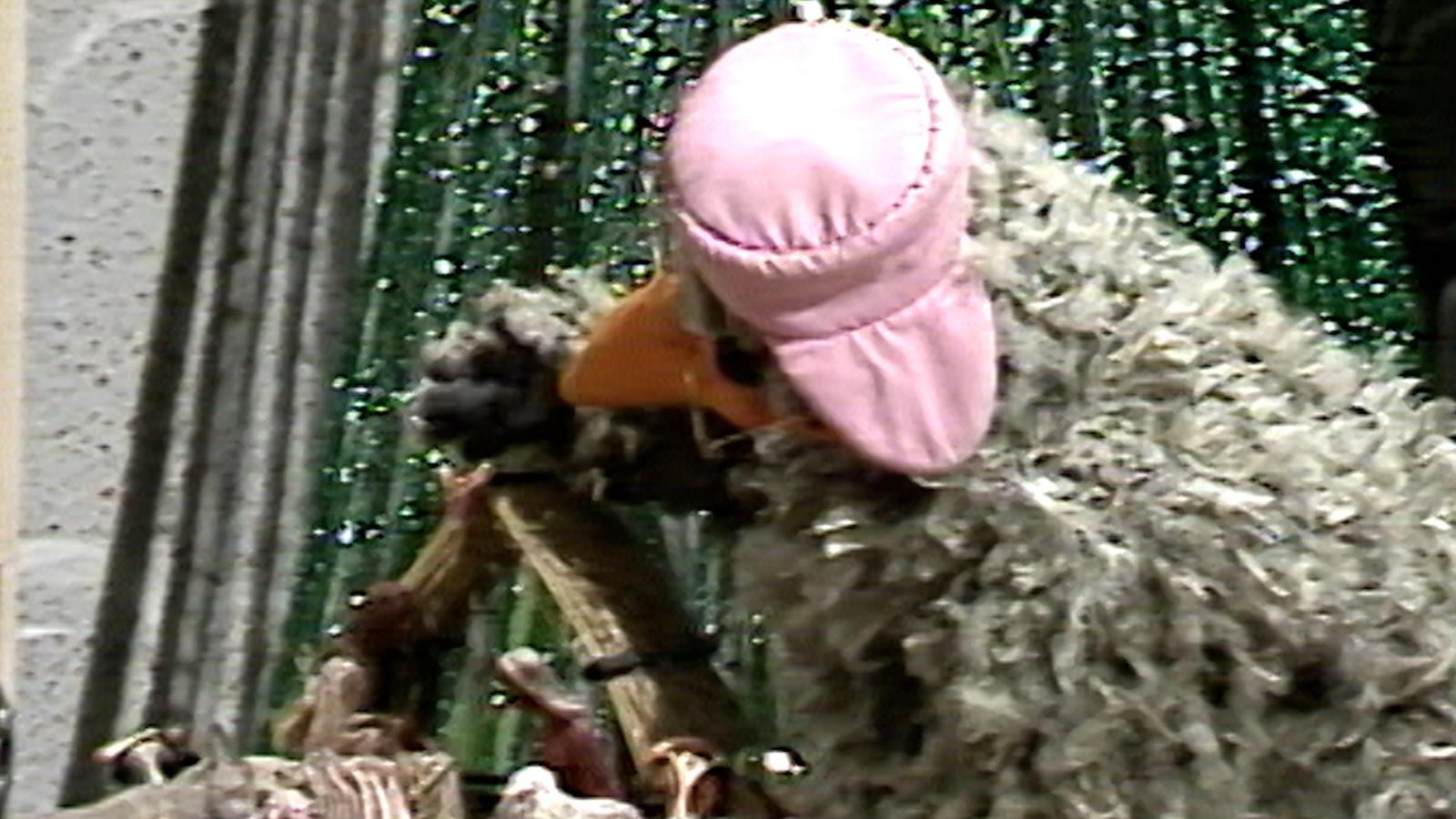 El Mundo del Profesor Rossa