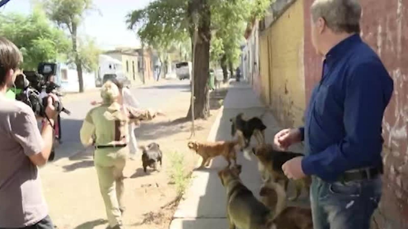 Vecinos en Conflicto