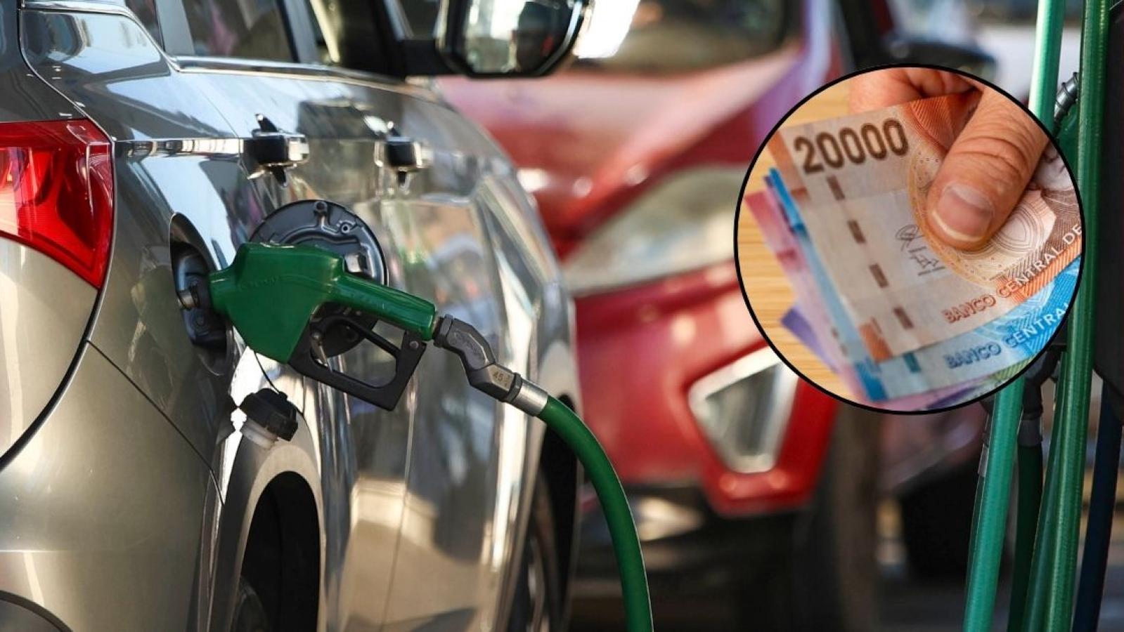 $100 mil al mes por alza de combustibles: quiénes reciben el pago