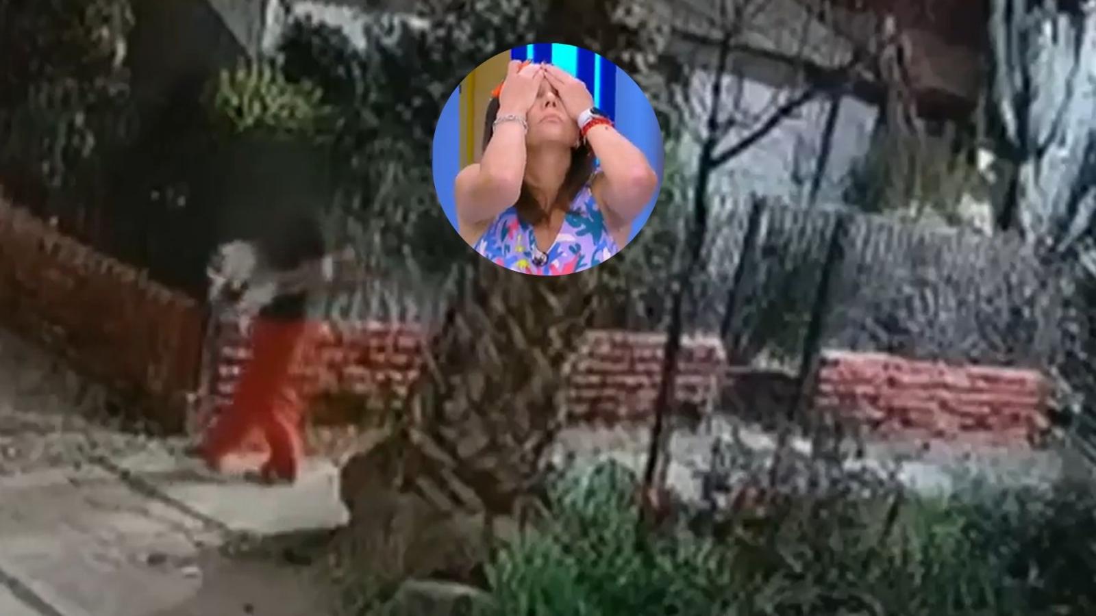 La reacción de periodista de La tarde es nuestra por caso del secuestrador de gatos en Santiago