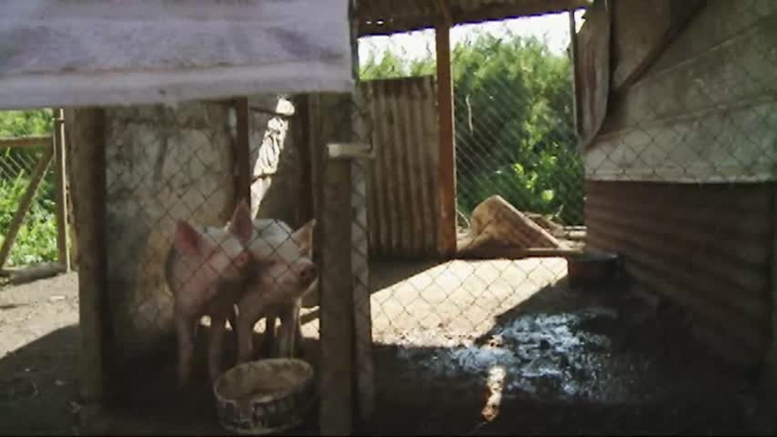 Vecinos en Conflicto