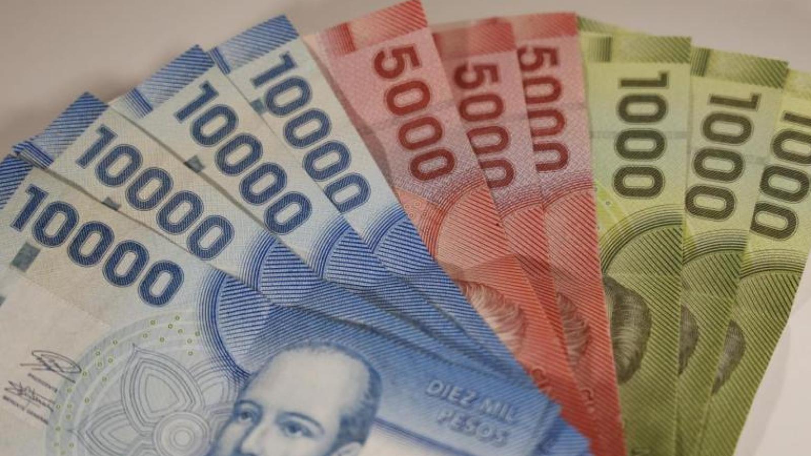 Diferentes seguros de Cesantía | Aton