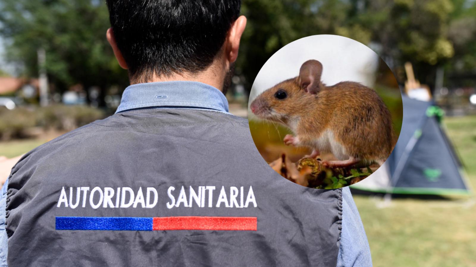 Hantavirus - Aton