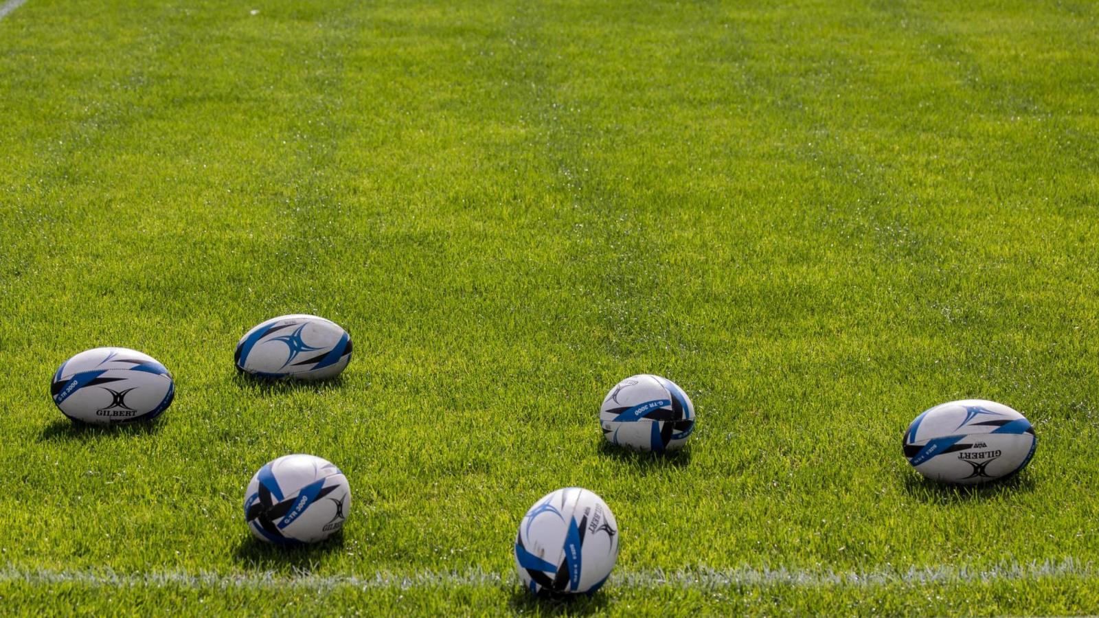 Pelotas de rugby 
