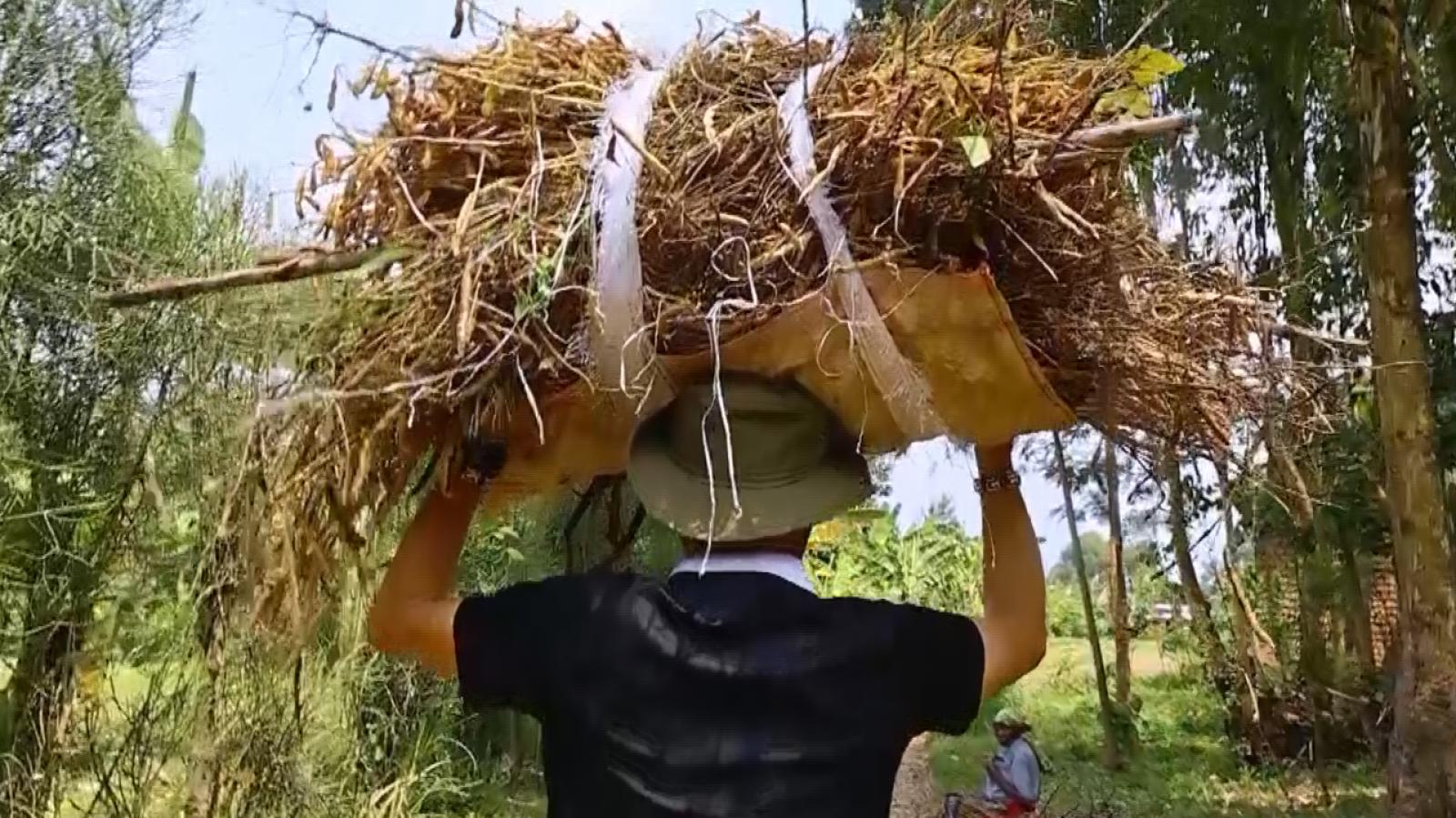 África Salvaje