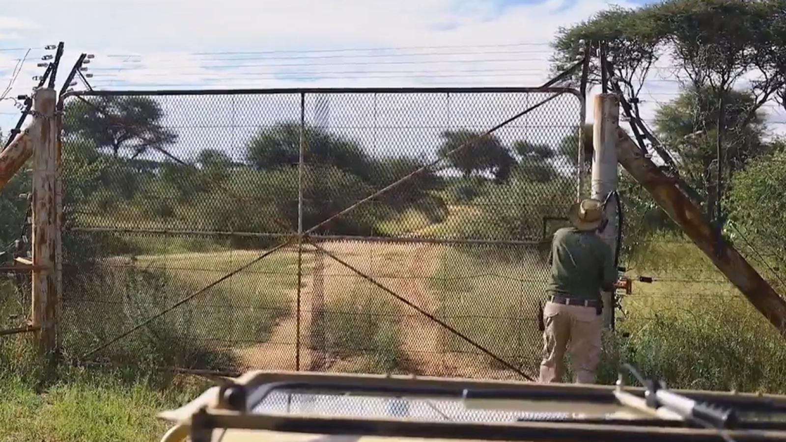 África Salvaje Namibia