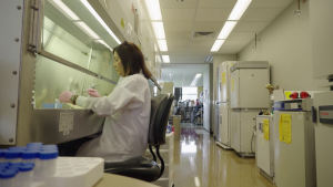 Sueño Americano | Capítulo 11 | Rigurosidad y trabajo