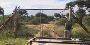 África Salvaje | Capítulo 11 | Namibia