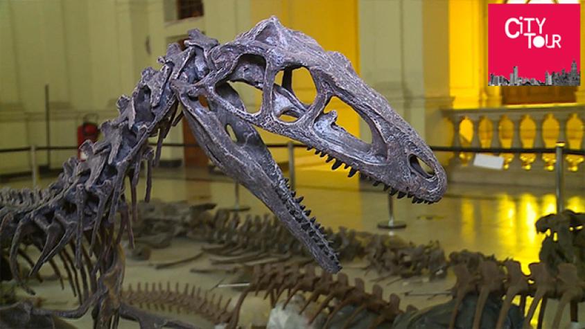 Capítulo 32 - Chilesaurios