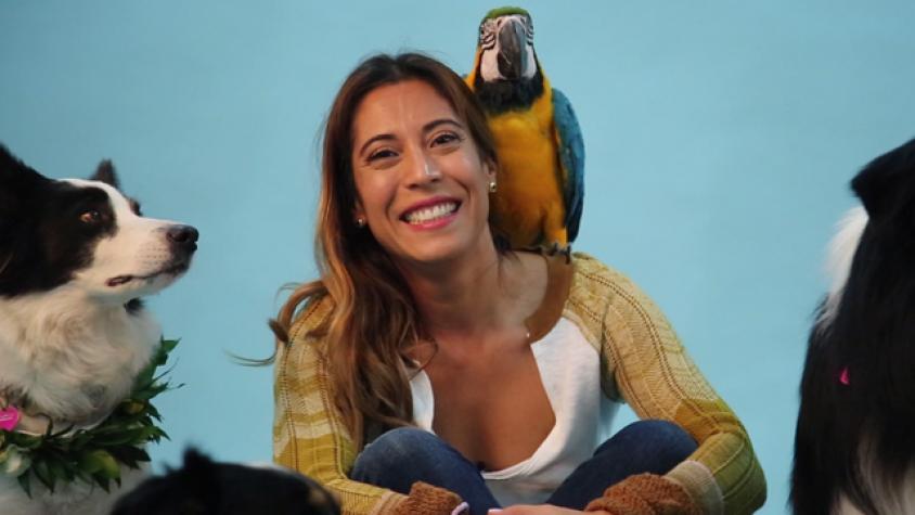 Pet Foto, el estudio fotográfico de mascotas
