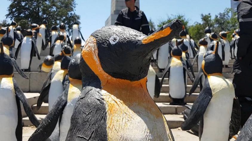 ¿Cómo nacieron los #1000PINGUINOS13C? 