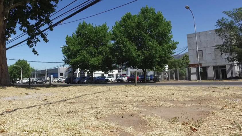 Paseando en la triste realidad de Vitacura