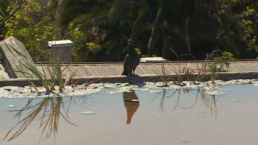 Conociendo un sistema acuático en la cubierta de un edificio