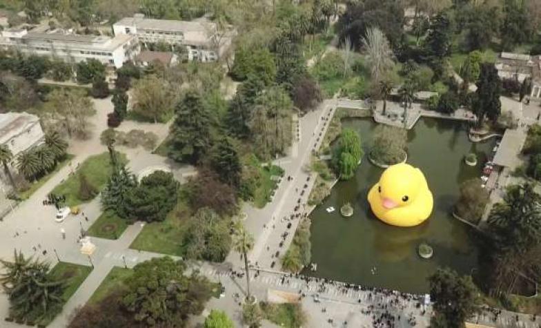 Una visita al Pato de Hule del Festival Hecho en Casa (2017)