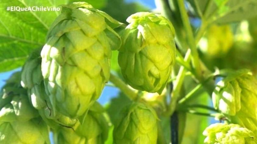 En City Tour revisamos lo que fue la visita al Panteón Héroes de la Patria.