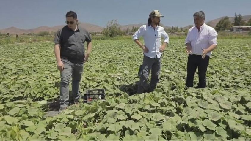 El impresionante corazón de Chicago