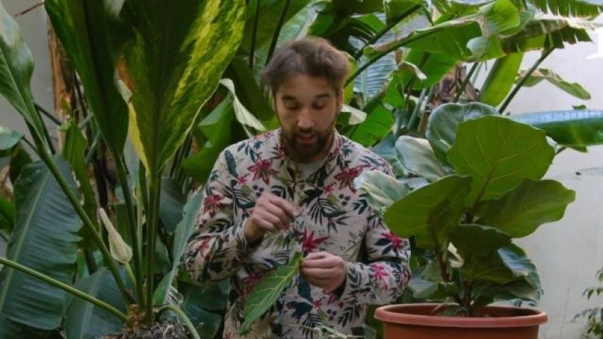 Ingreso a la "Casa Robie" de Frank Lloyd Wright