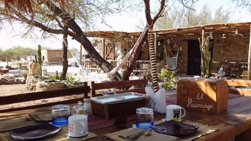 Los estudiantes de Biología Marina de la Universidad de Valparaíso en acción