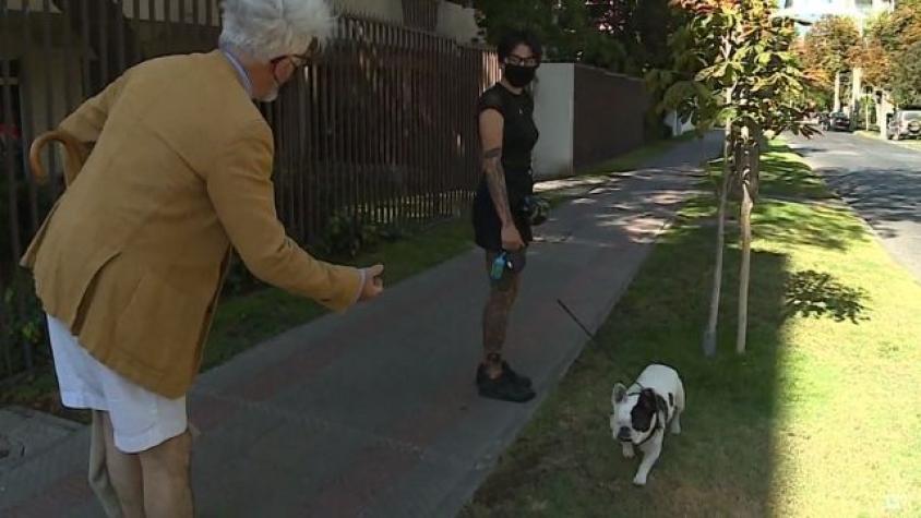 El gran Salón Dorado y otros salones del Palacio Vergara