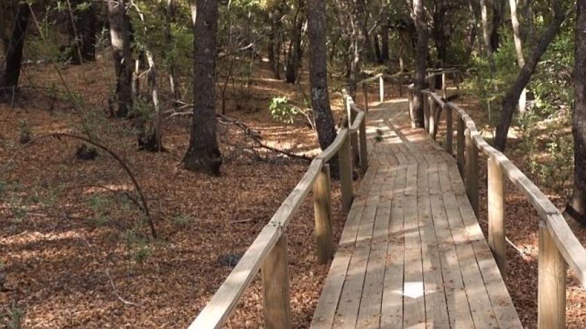 Un llamativo scooter eléctrico