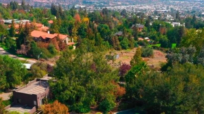 Las alucinantes librerías y una interesante tienda de zapatos