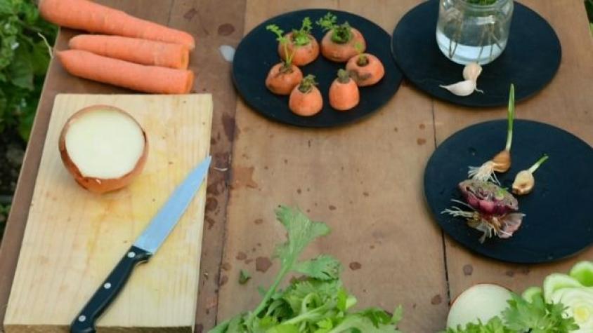 Viviendas sociales con calidad arquitectónica