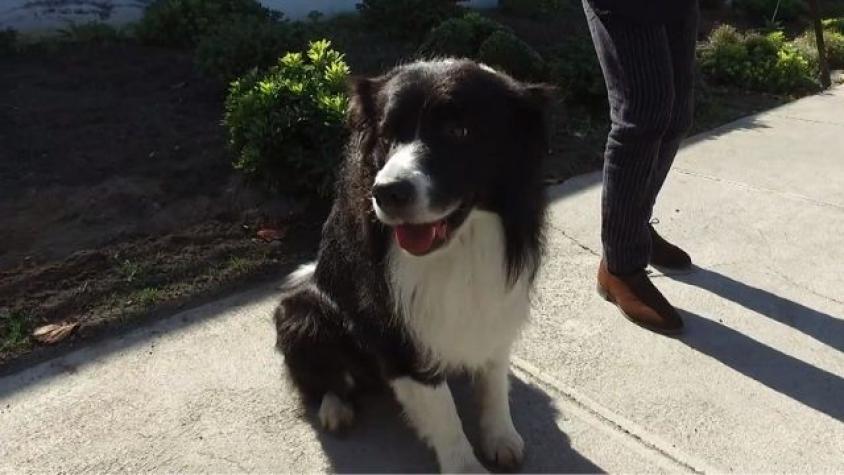 Buenos encuentros en Lo Barnechea